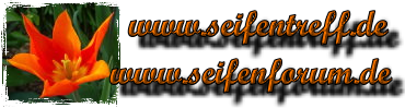 Bild "Links:seifentreff.png"